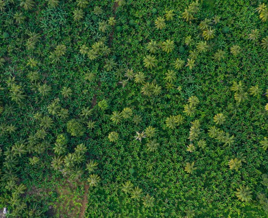 DJI_0607.jpg