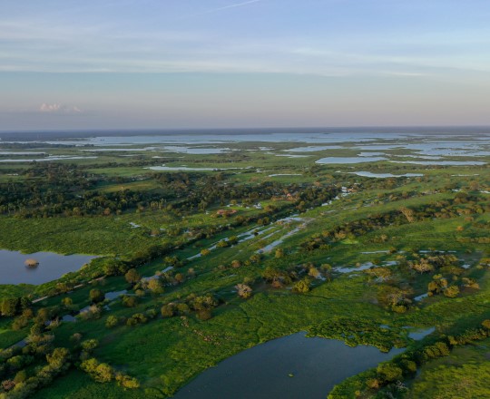 DJI_0727.jpg