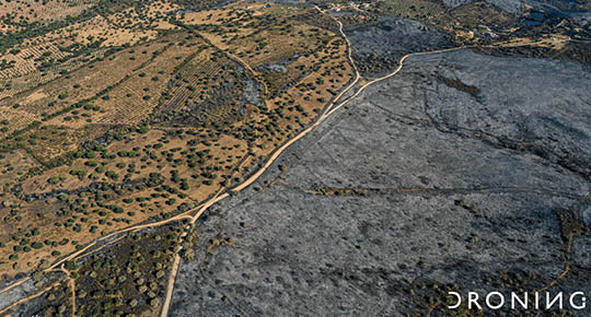 banner-agroforestal-2-11-10-22.jpg