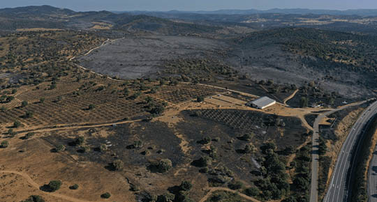 banner-agroforestal-3-11-10-22.jpg