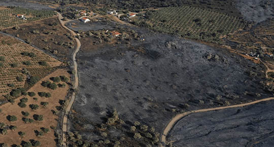banner-agroforestal-5-11-10-22.jpg